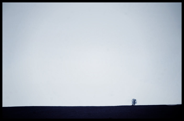 Na loukách kolem Nové Lhoty