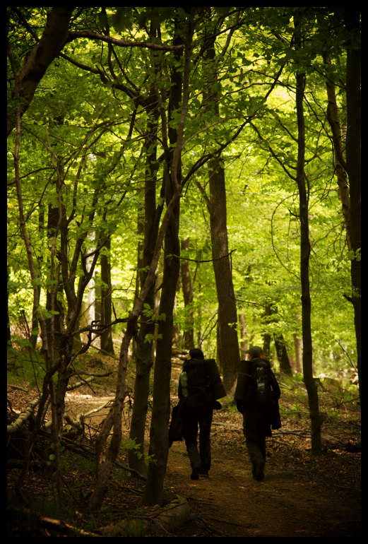 V pralese pod Studeným vrchem
