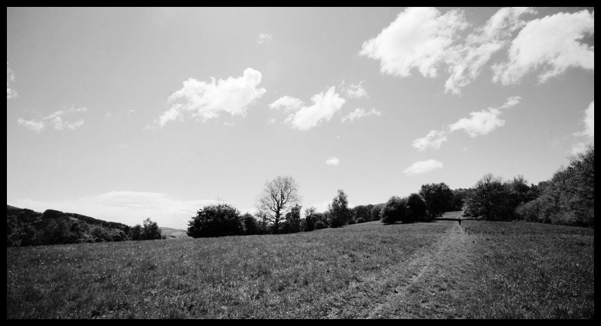 Horské louky. Nádhera.