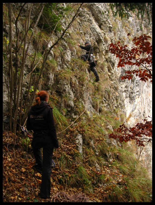 Nástup. Pro metodiky - vzorový štand č. 1 (fotil arny)