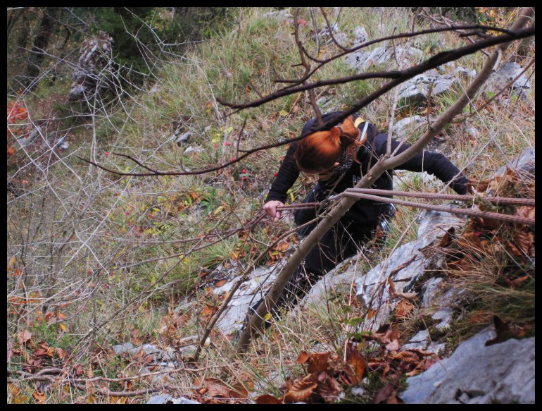 Botanické slanění.