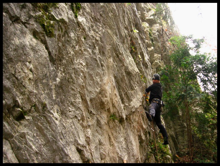 Já v 3535 (fotil arny)