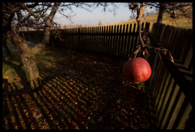 Mrazivé ráno v Komorní Lhotce