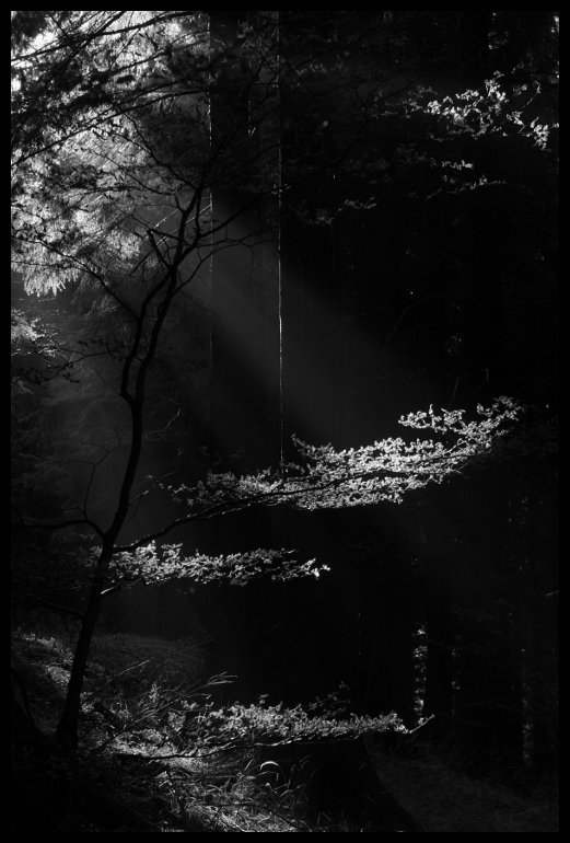 Tenhle podzim už celkem všední pohled