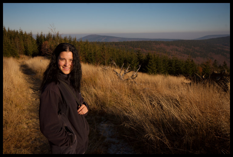 Pod Velkým Lipovým. Vzadu vlevo vrchol Ostrého.
