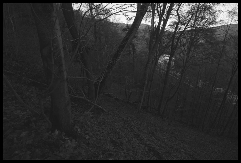 Z pralesa nad Adamovem