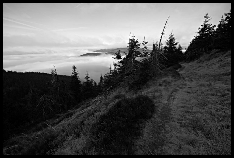 Krásnej, ale ne úplně jednoduchej, sjezd po zelené od rozcestí nad Malým koltlem na Františkovu myslivnu.