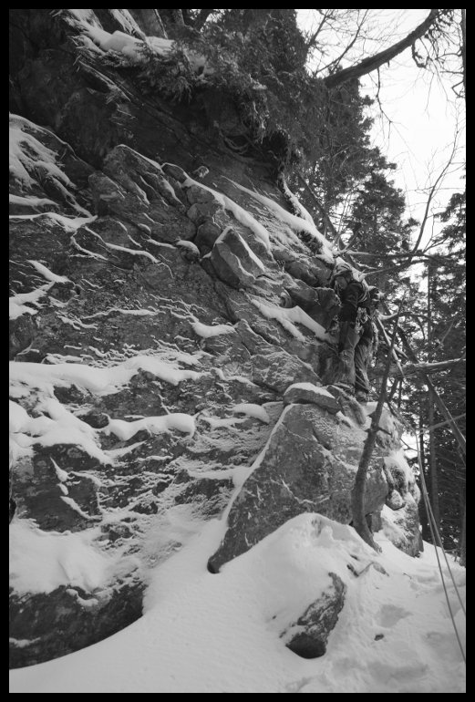 Džungle v poslední délce