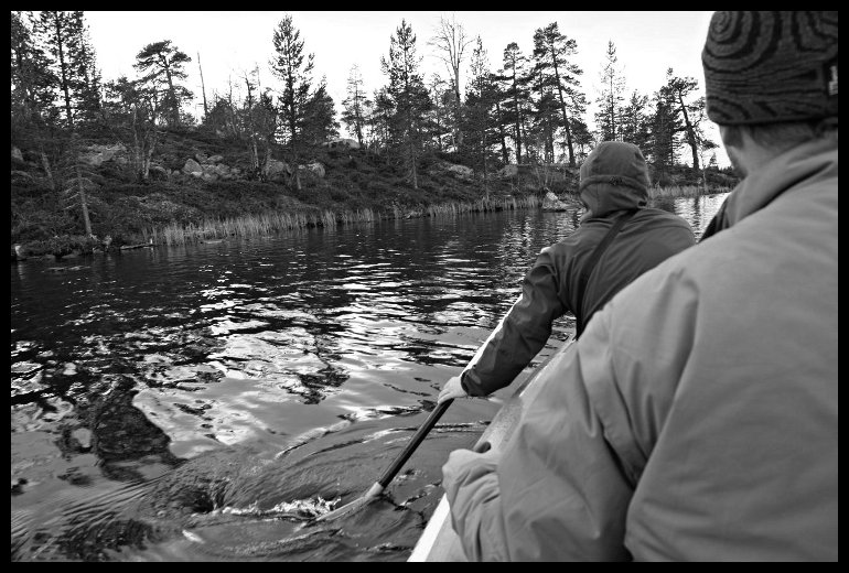 A jede se. (fotil David)