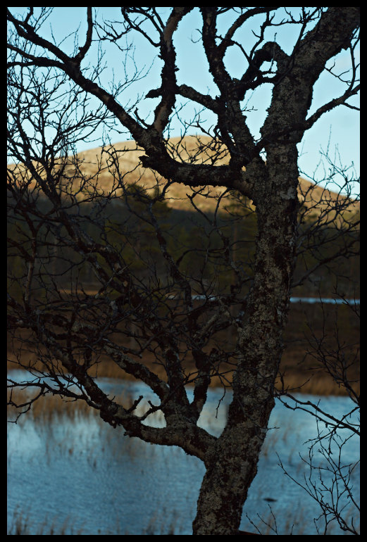 Z podvečerní procházky