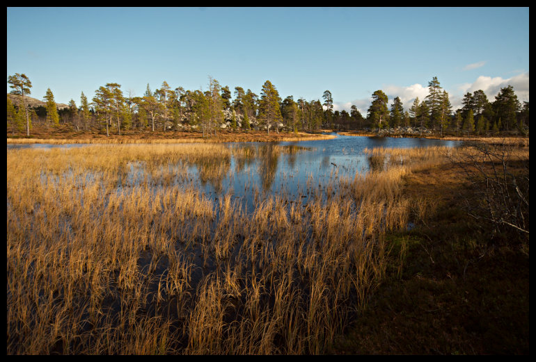 Jeden z přítoků Rogenu