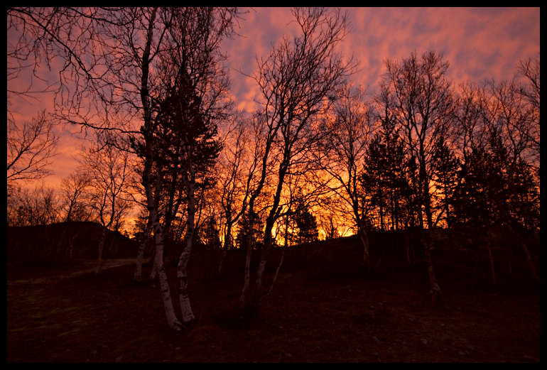 Brzy ráno, za tři hodiny už chumelilo a přestalo až večer.