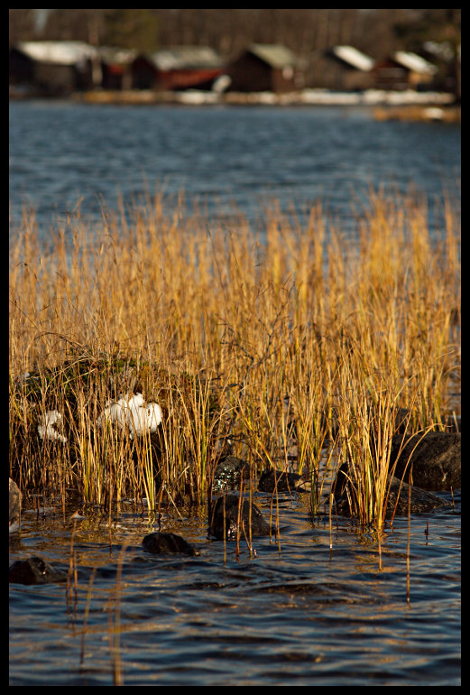 Blížíme se zpátky k autu.