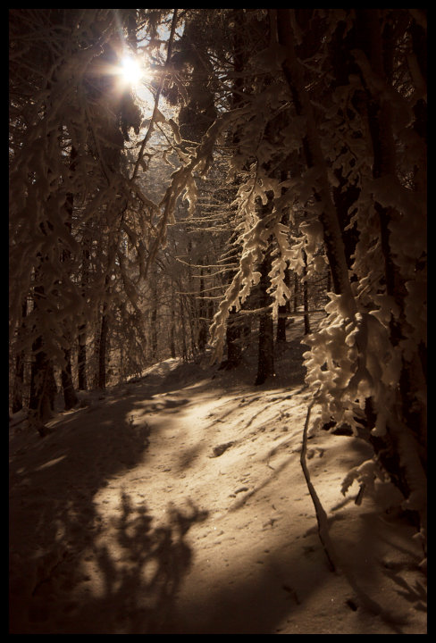 Vstup do Čerňaviny