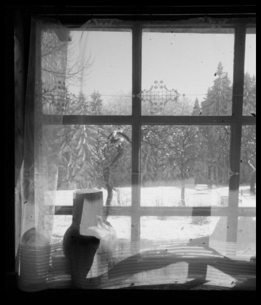 Chalupa i jablůňka přežily