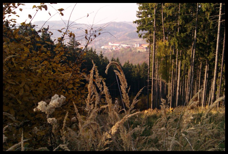 Dole v údolí je Lomnice