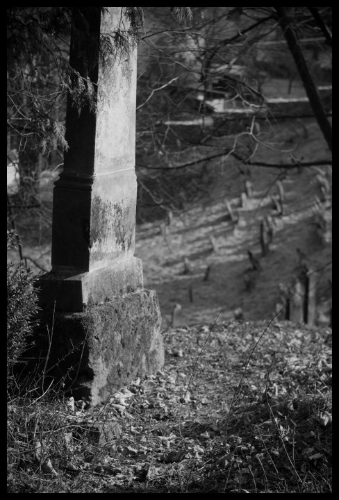 Židovský hřbitov v Lomnici