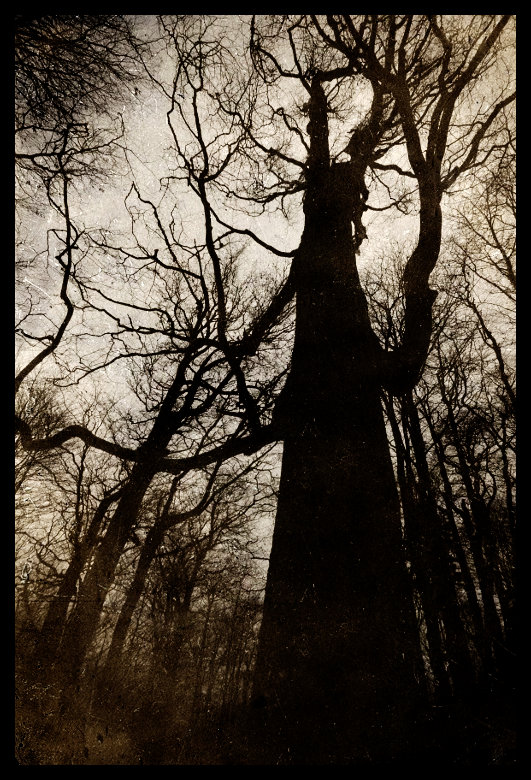 Jeden z mých pralseních kámošů