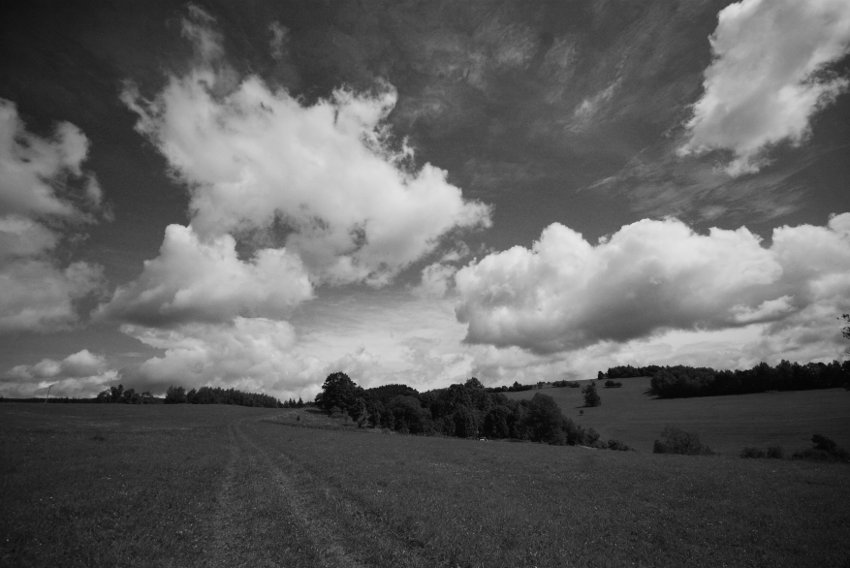 Na loukách nad vesničkou Kronfelzov, která se schovává v hájku vpravo od cesty