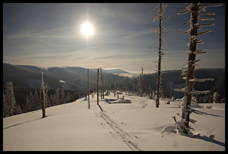 Odměna za mlhu, vítr, zimu a sněžení