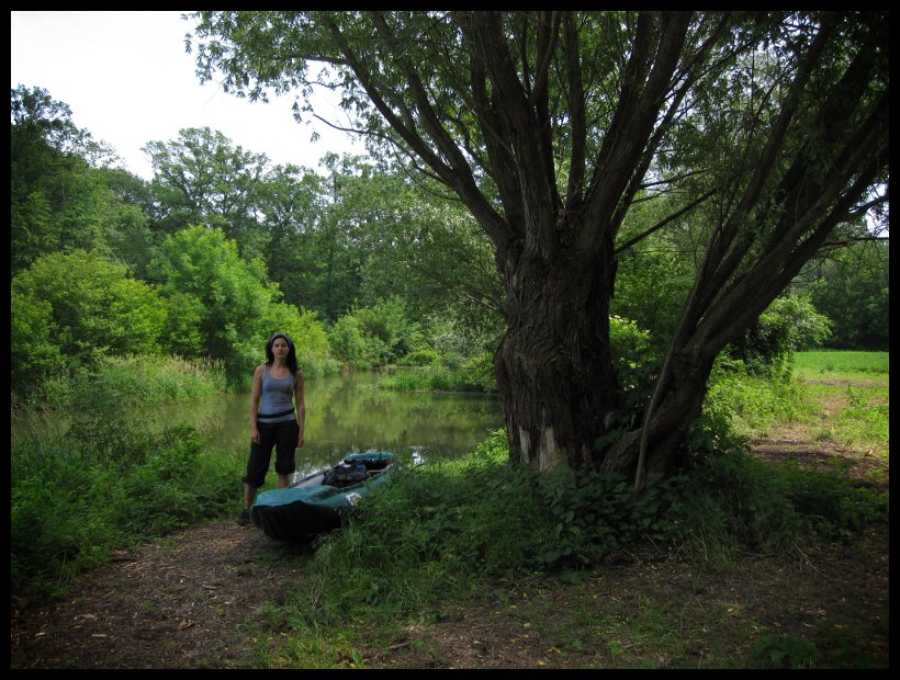 Svačíme, odpočíváme a vyhlížíme bobry - na březích jsou spousty nahlodaných i překousaných kmenů.