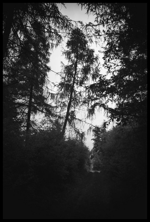 Opuštěná kaple nad Doubravníkem