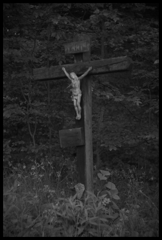 Dřevěný křížek cestou do Vranova