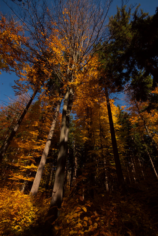 Barevno pod Devítkama