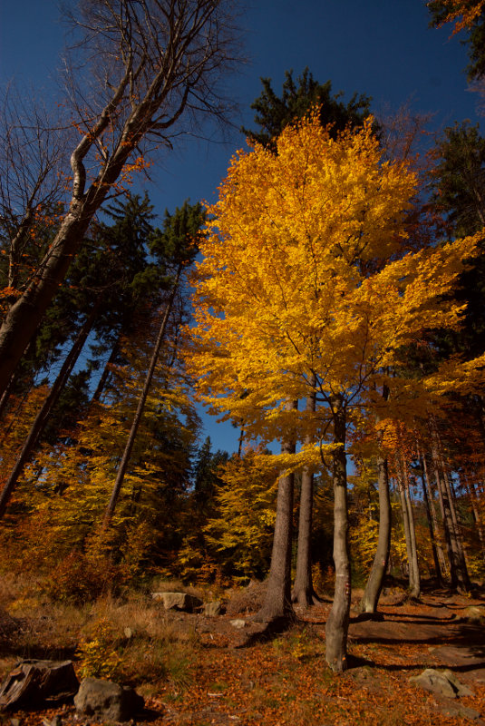 Ten nejzbarvenější