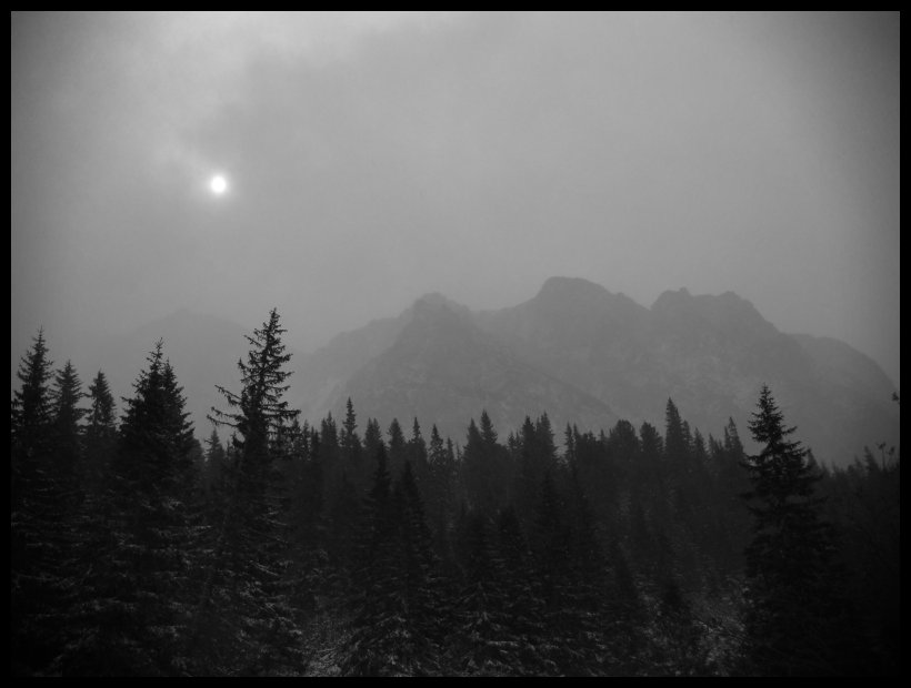 Bye Bye, já se vrátím