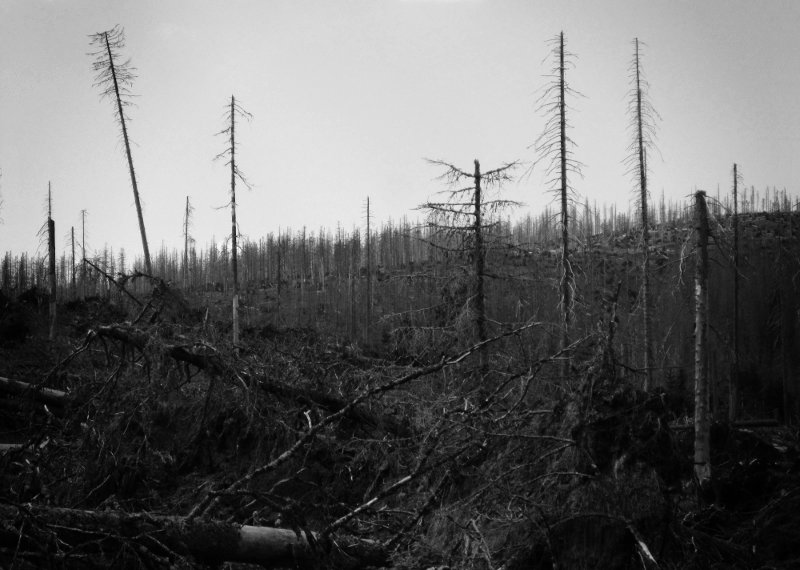 Katastrofa na hlavním hřebenu