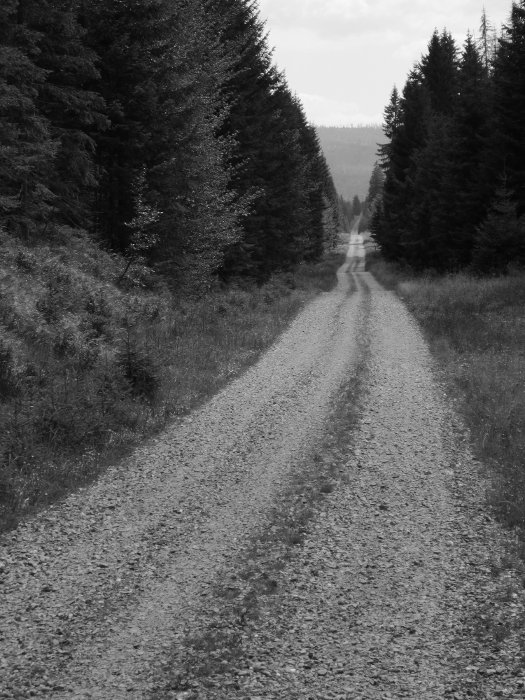 Krásný sjezd z hřebene nad jezerem Laka na Ždánidla