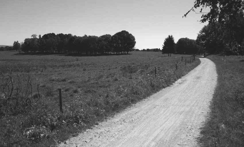 Hvězdičkový úsek - Knížecí pláně