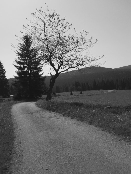 Nad rozcestím Nová Polka