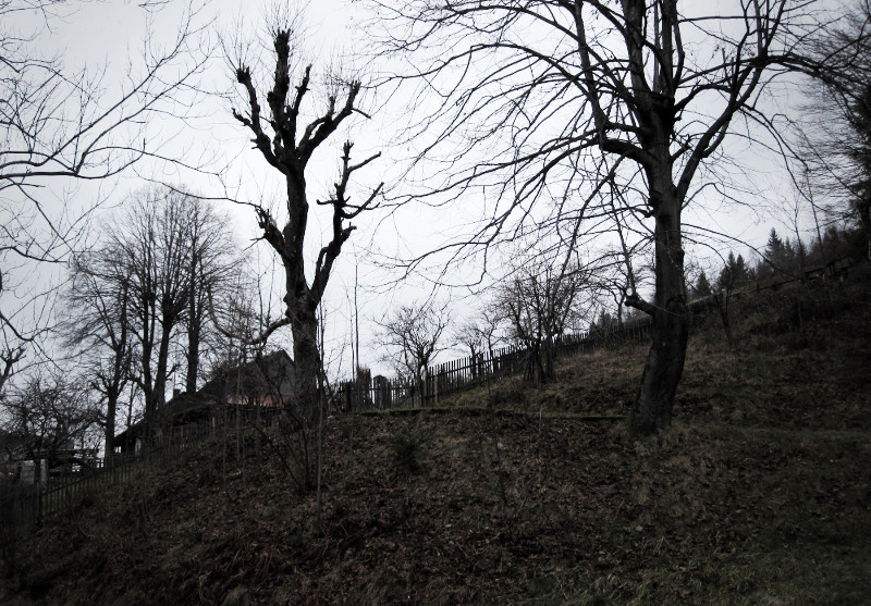 Hluchová - Kolibiska