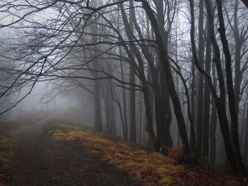 Cesta k chatě na Polské straně
