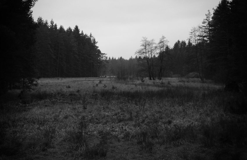 Rašeliniště na Babínské naučné stezce