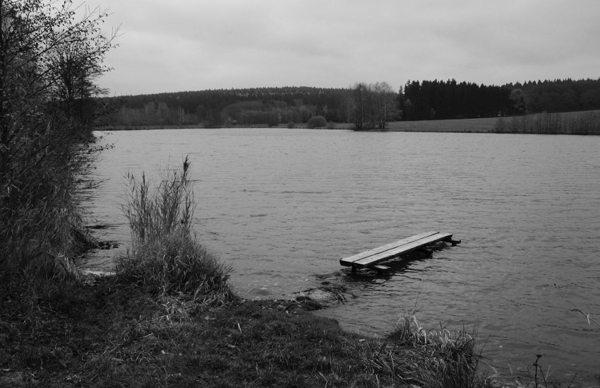 Dolní Křivý rybník