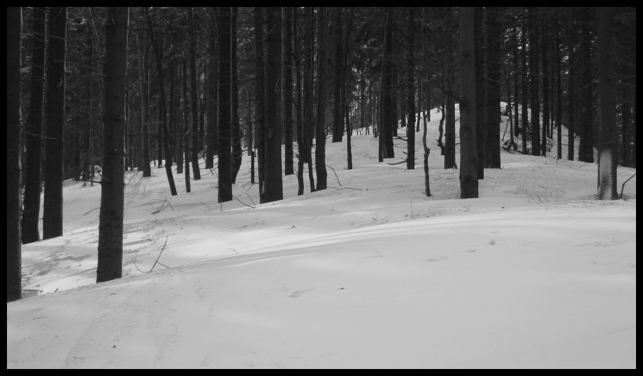 Takhle skoro deset kiláků. Naštěstí se to moc nebořilo.