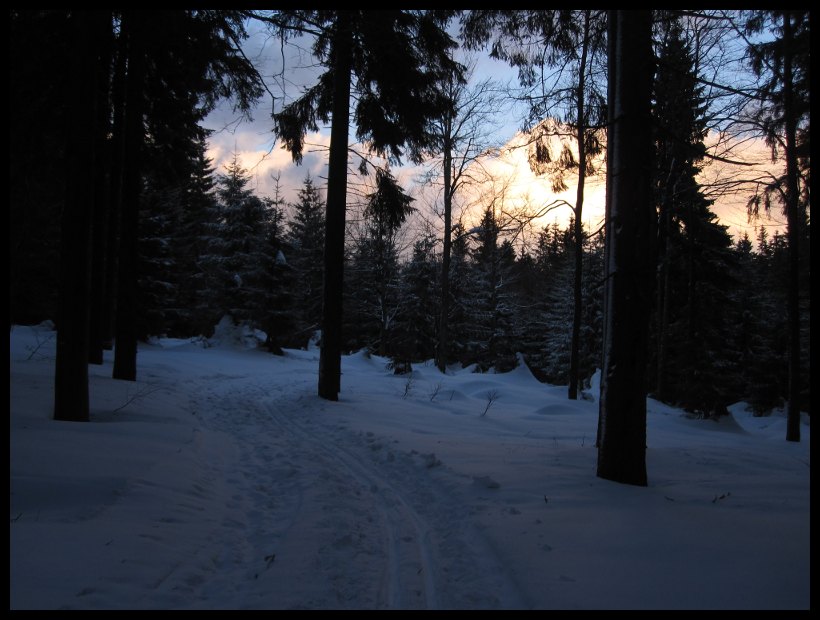 Poslední paprsky za rozcestím Kalužný.