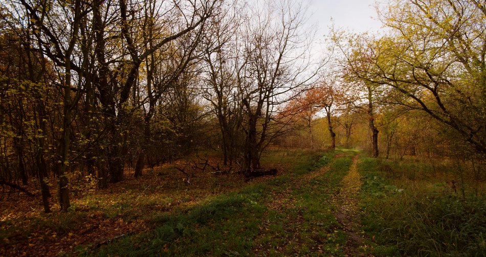 Vstup do sadu ve Střelickém lese