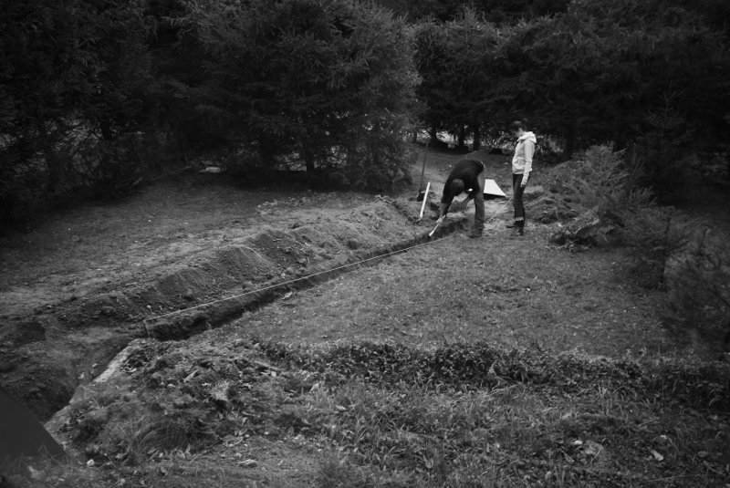 A seká kořeny (rovněž pod odborným dohledem)