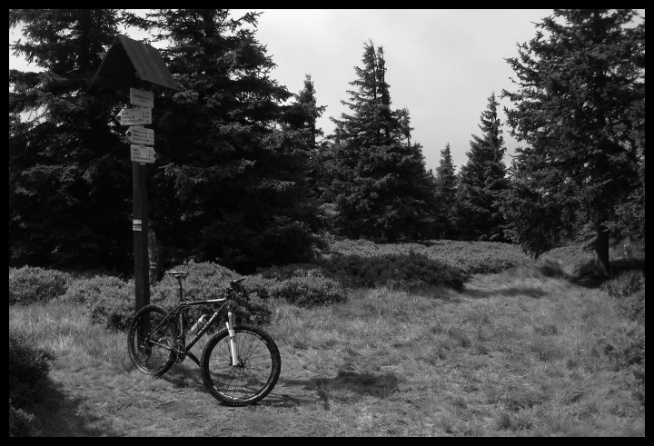 První vchol, Sušina (1321 m)