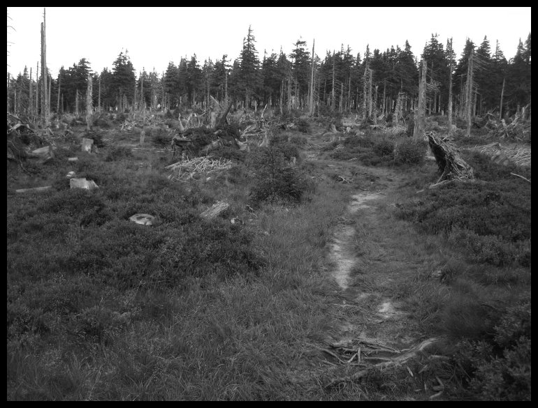 Tady už je třeba trošku technicky