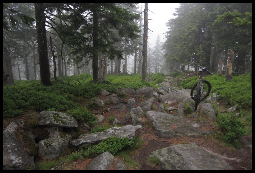 Až sem to šlo, dál už jsem raději nesl kolo na ramenou