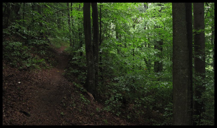 Nádherný úsek mezi Kladským sedlem a Paprskem