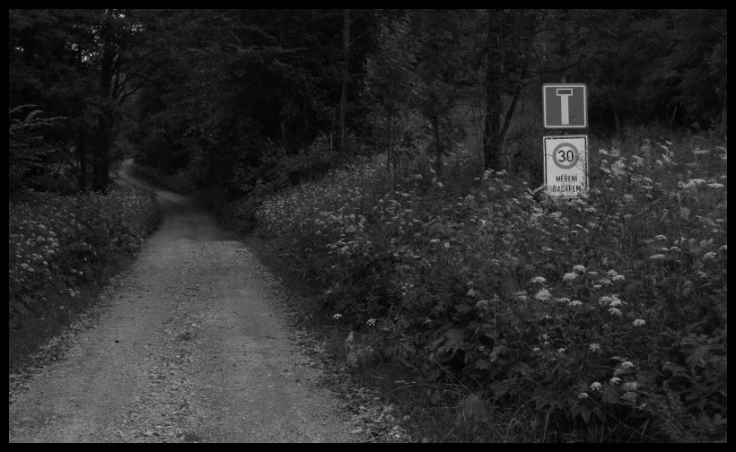 Raději jsem zpomalil