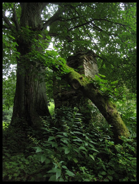 Joj, stará křížová cesta nad Malým Vrbnem