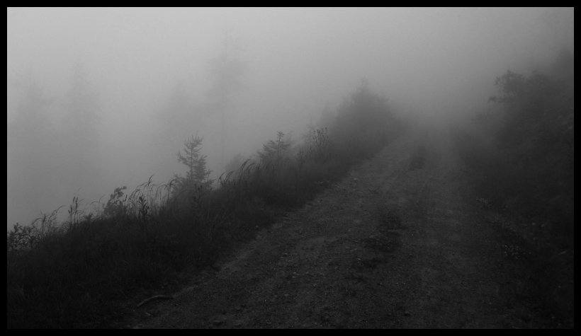 Z nádherného sjezdu do údolí Dolní Moravy, který se jezdí pěkně rychhle, jen jsem se bál, že se z té mlhy něco vynoří