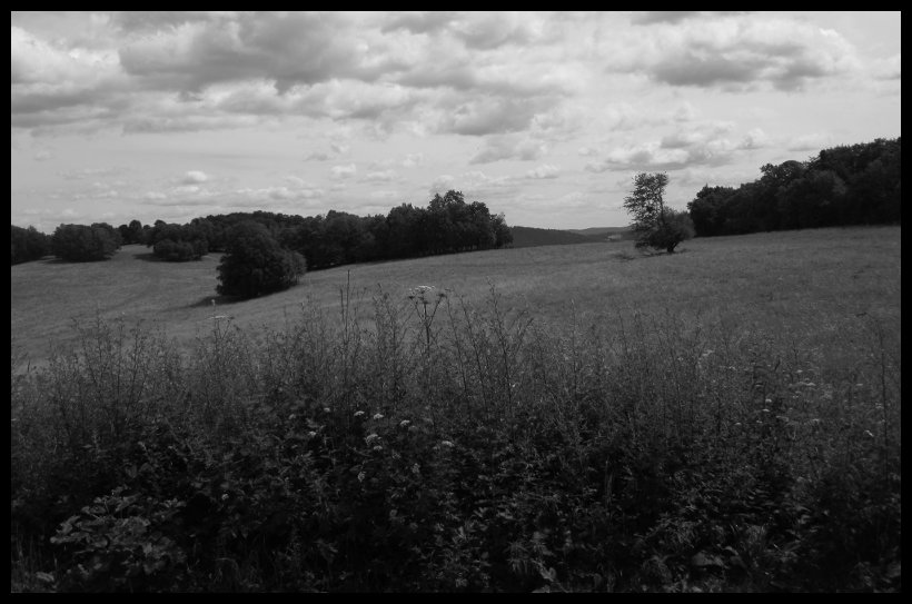 Nad Petrovicema, stoupání pod Špičák